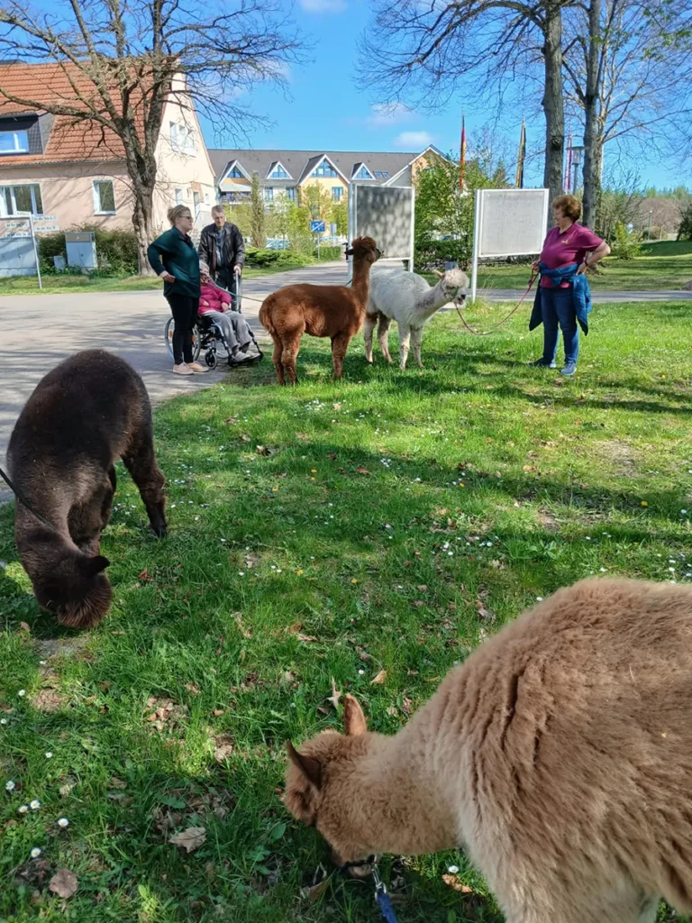 aww-seniorencampus-friedensau-tagespflege-11