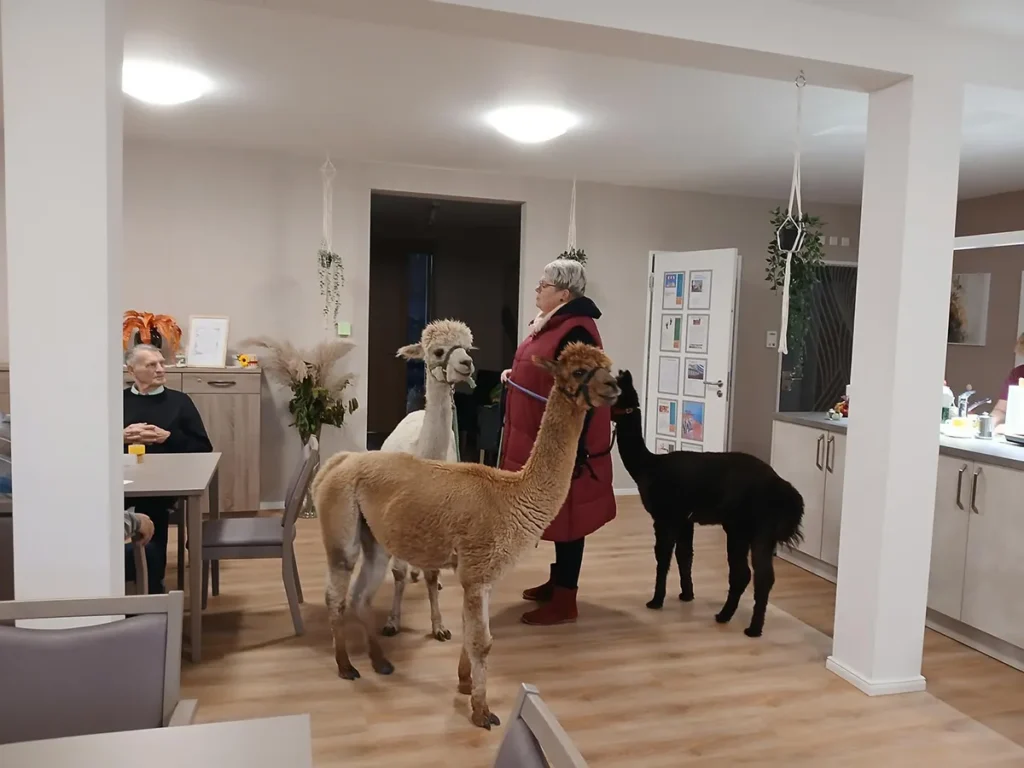 aww-seniorencampus-friedensau-tagespflege-3